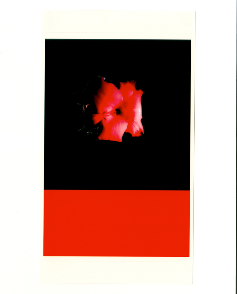 Third slide image
